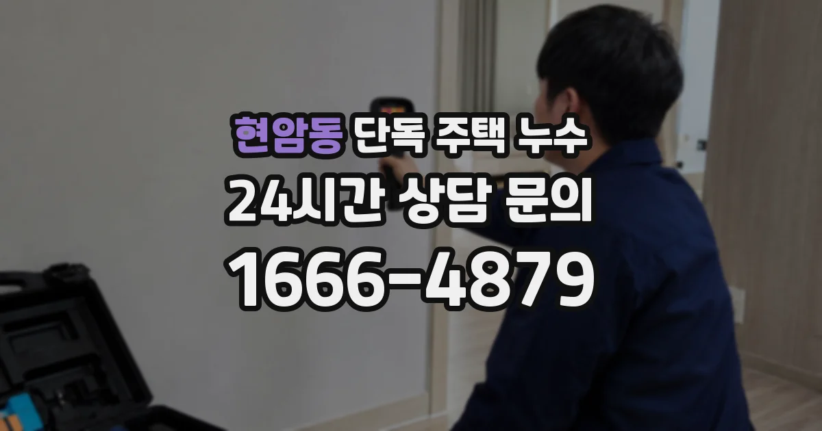 현암동 단독 주택 누수