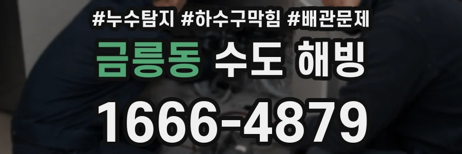금릉동 수도 해빙