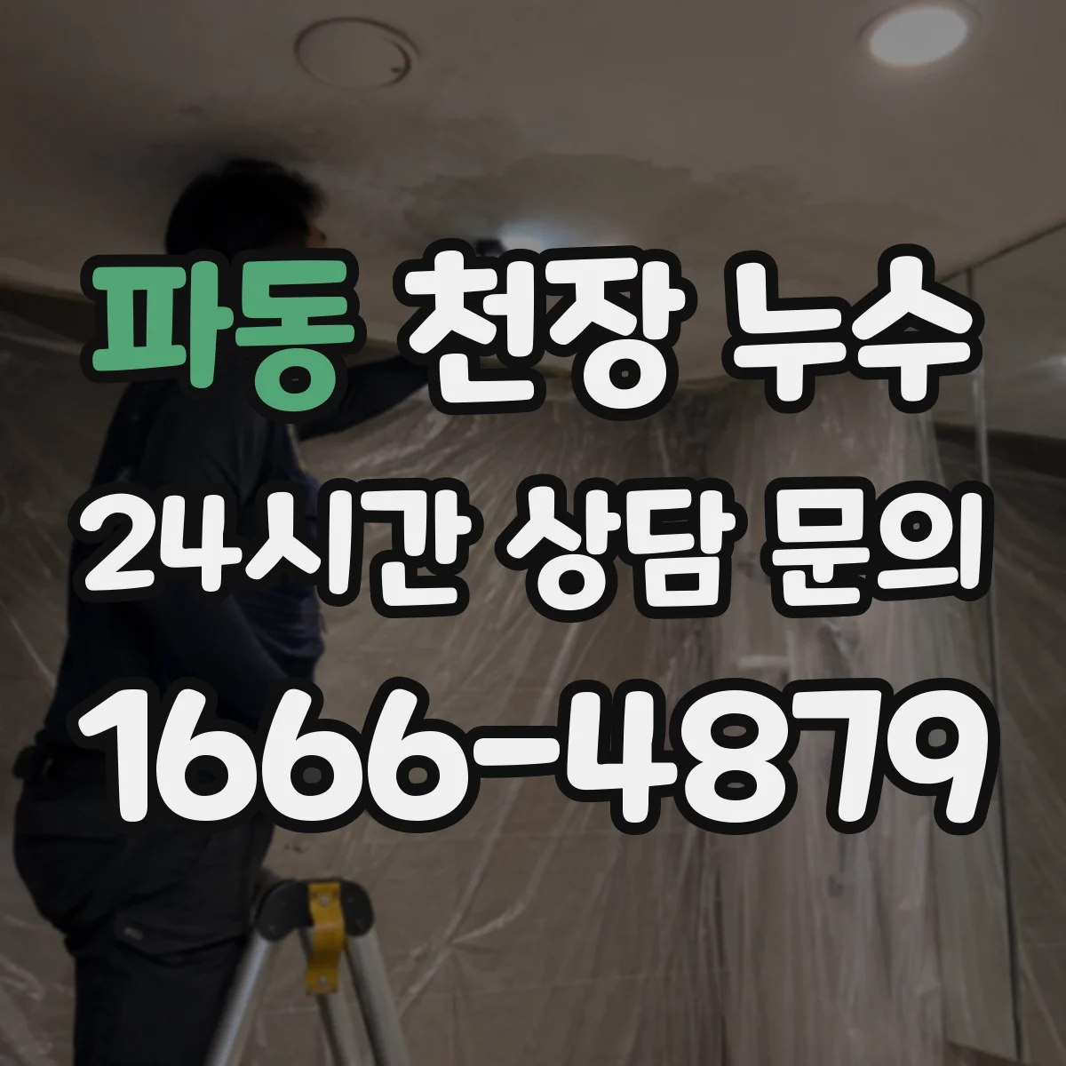 파동 천장 누수