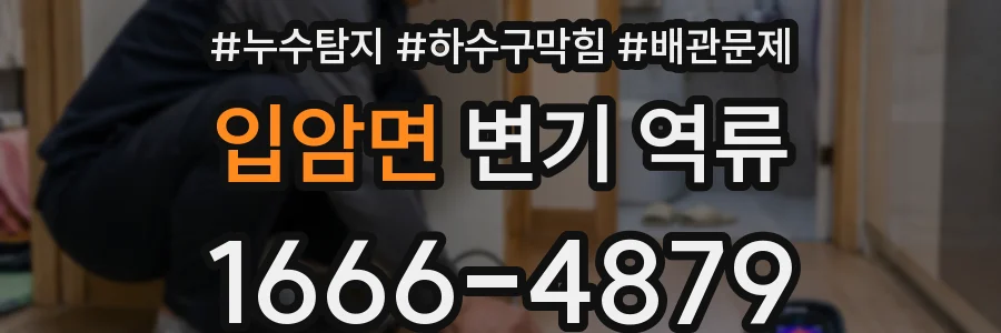 입암면 변기 역류