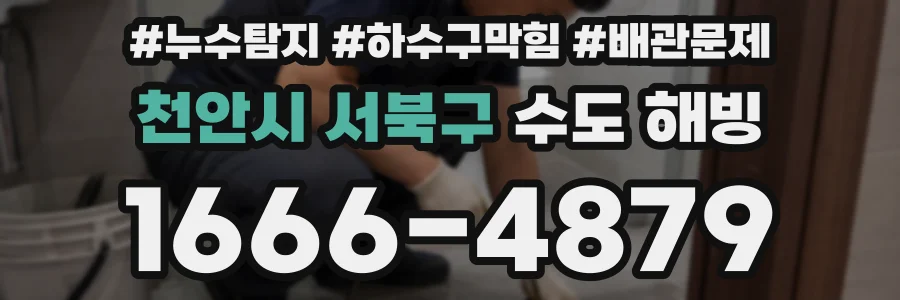 천안시 서북구 수도 해빙