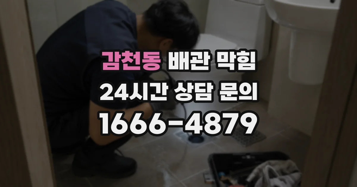 감천동 배관 막힘