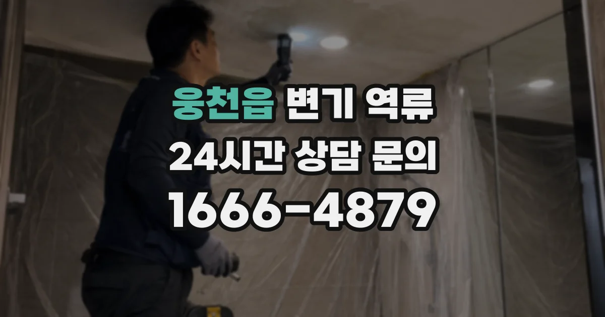 웅천읍 변기 역류