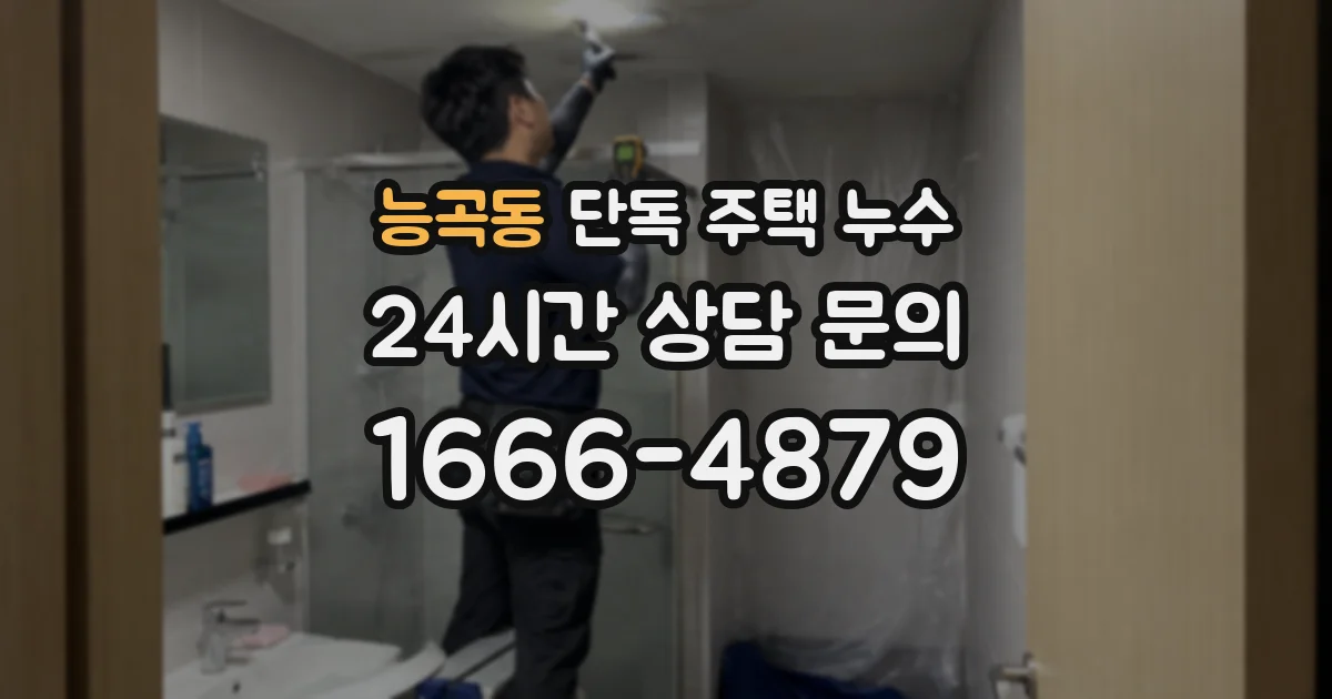 능곡동 단독 주택 누수