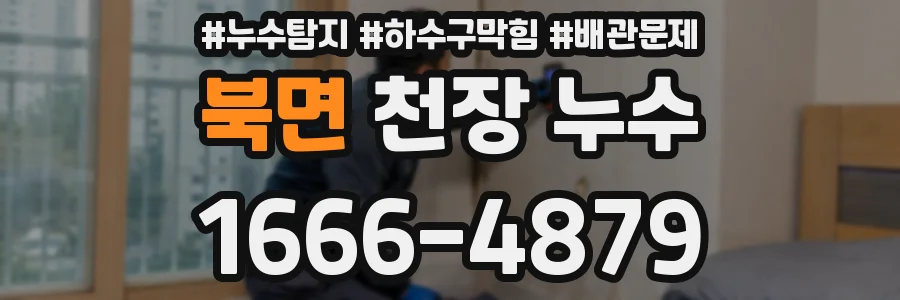 북면 천장 누수