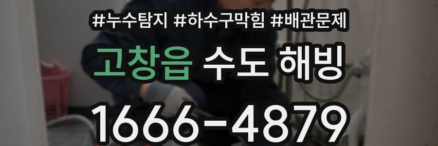 고창읍 수도 해빙