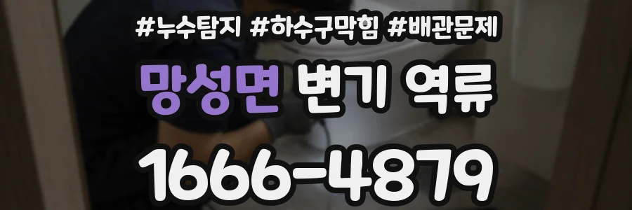 망성면 변기 역류