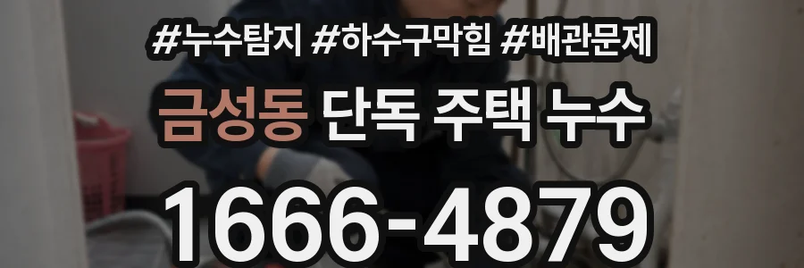금성동 단독 주택 누수