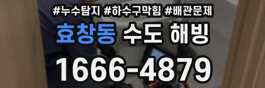 효창동 수도 해빙