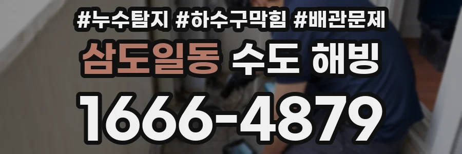 삼도일동 수도 해빙