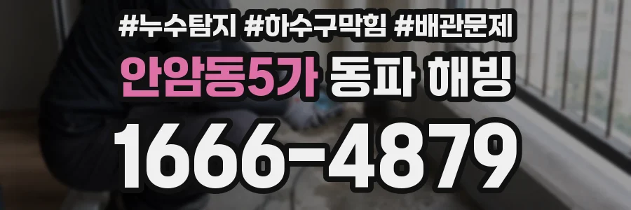 안암동5가 동파 해빙