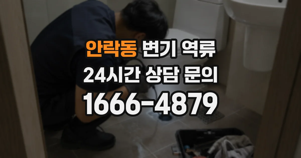 안락동 변기 역류
