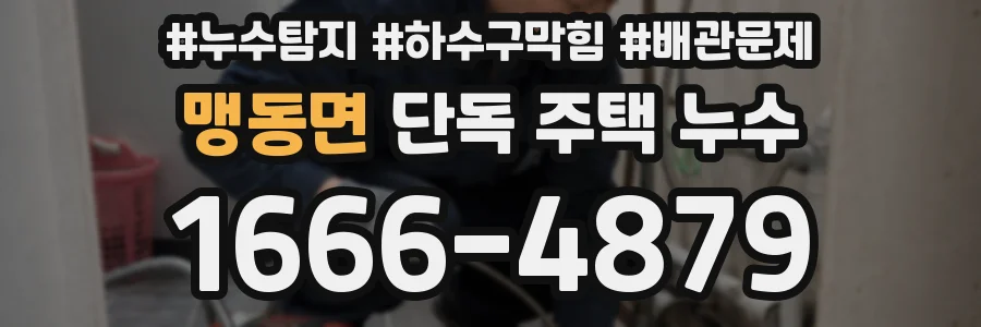 맹동면 단독 주택 누수