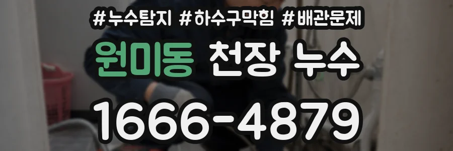 원미동 천장 누수
