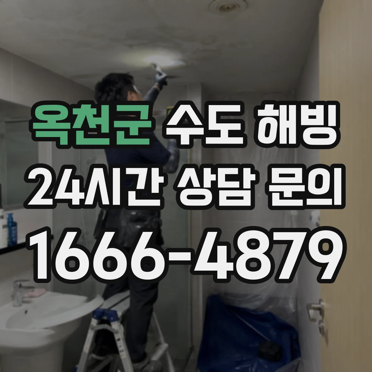 옥천군 수도 해빙