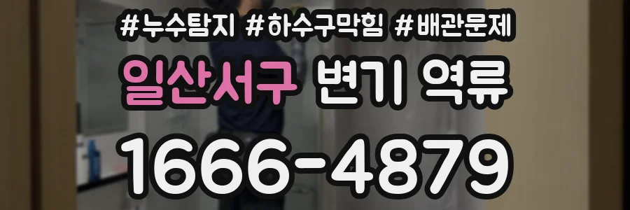 일산서구 변기 역류