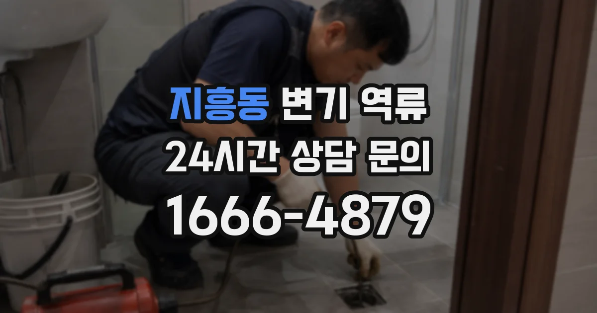 지흥동 변기 역류