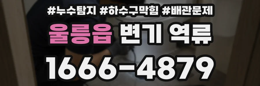 울릉읍 변기 역류