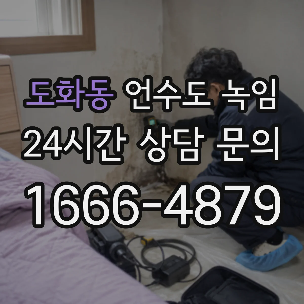 도화동 언수도 녹임