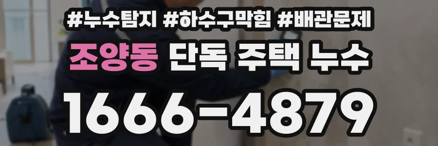 조양동 단독 주택 누수