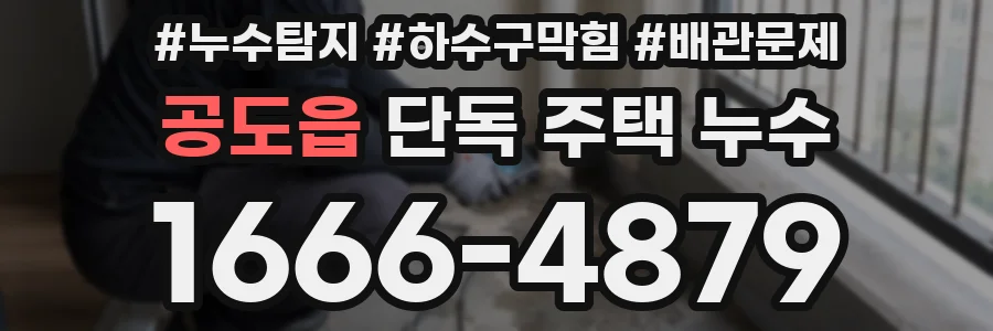 공도읍 단독 주택 누수