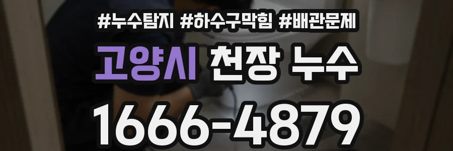 고양시 천장 누수