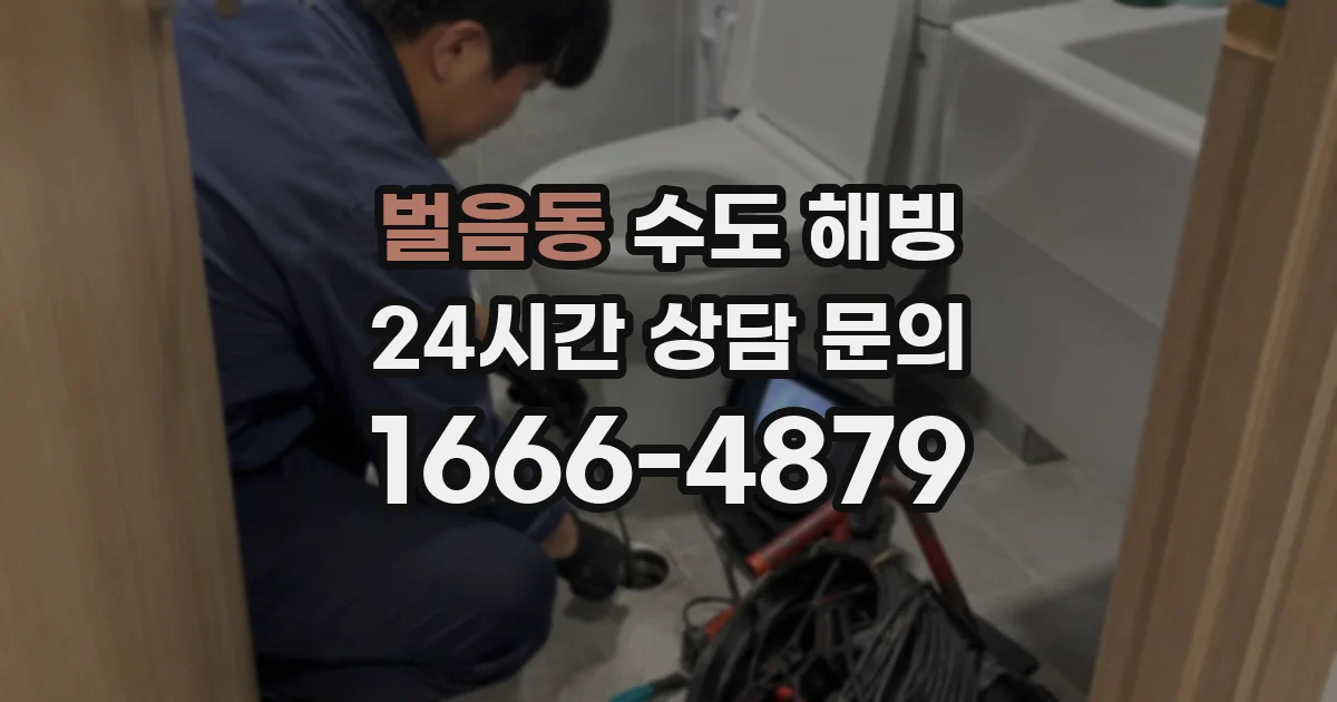 벌음동 수도 해빙