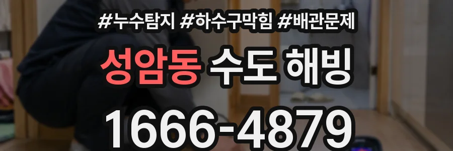 성암동 수도 해빙