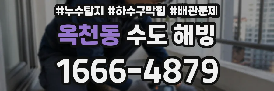 옥천동 수도 해빙