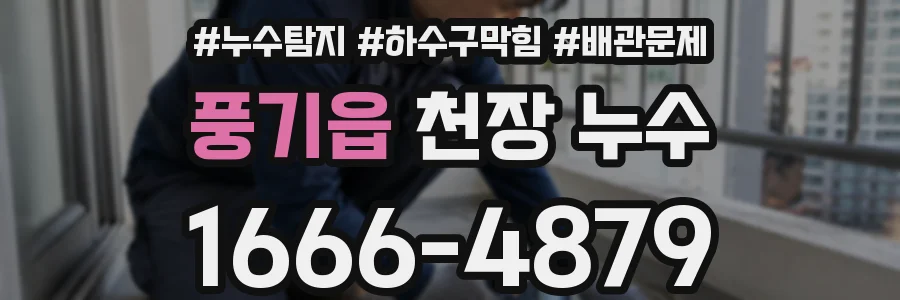 풍기읍 천장 누수