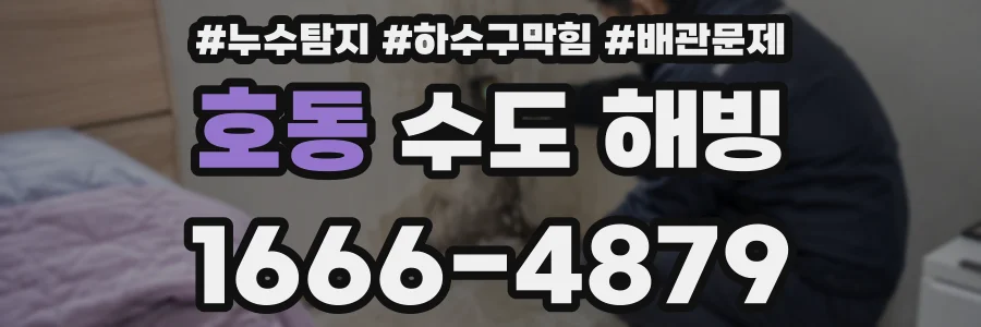 호동 수도 해빙