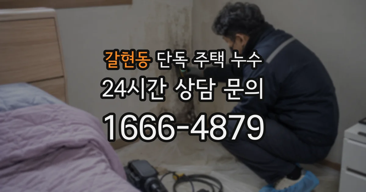 갈현동 단독 주택 누수