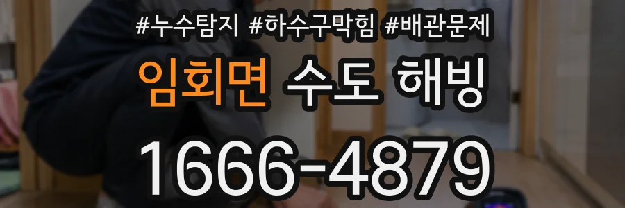 임회면 수도 해빙