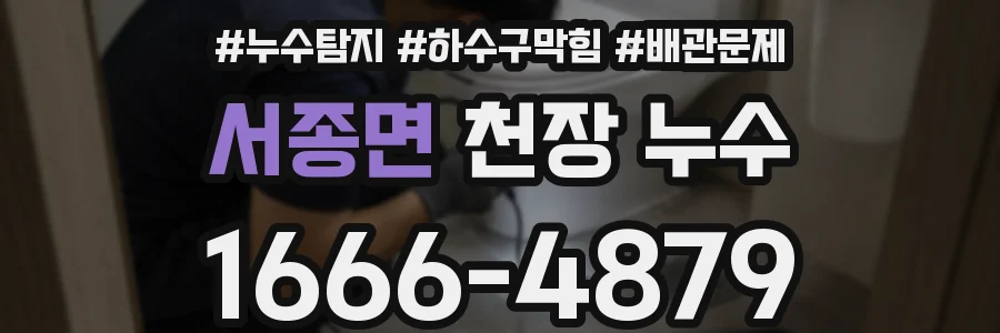 서종면 천장 누수