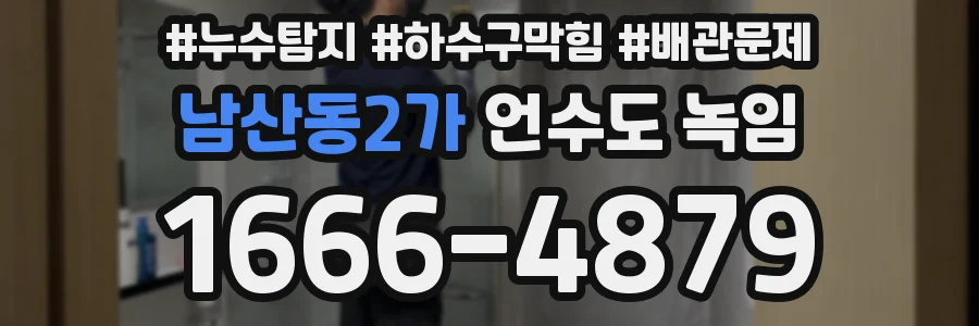 남산동2가 언수도 녹임