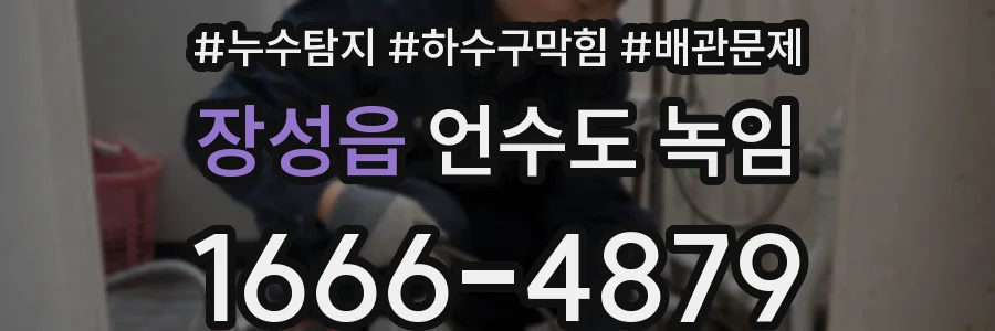 장성읍 언수도 녹임