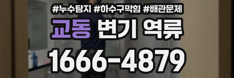 교동 변기 역류
