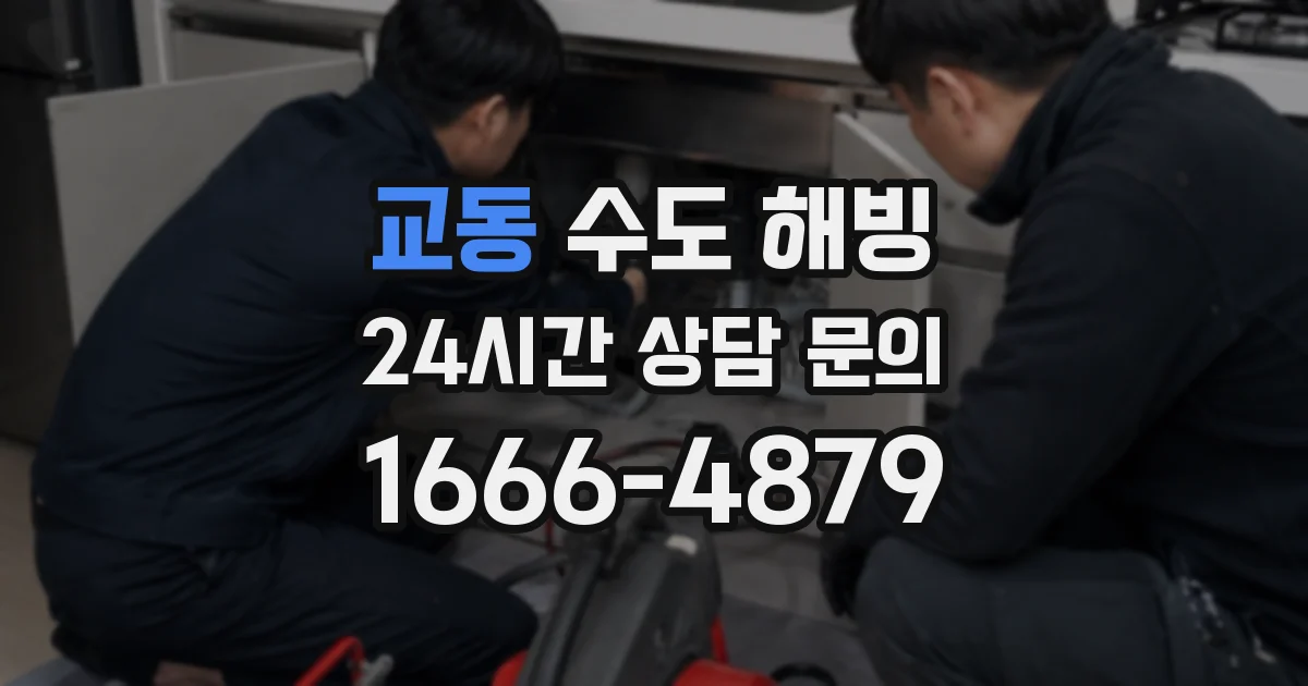교동 수도 해빙