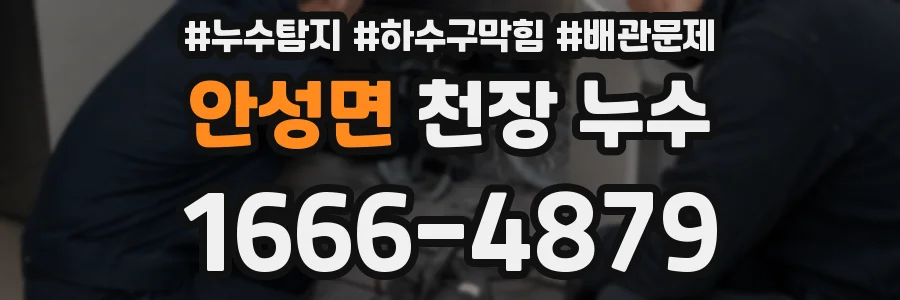 안성면 천장 누수