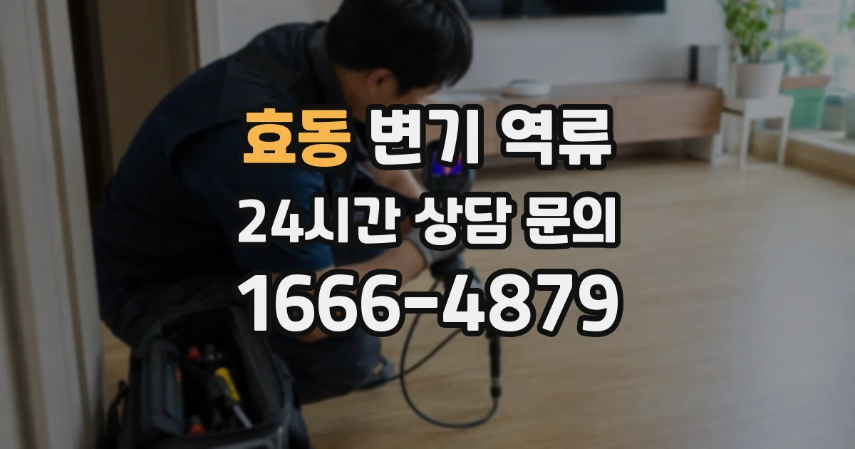 효동 변기 역류