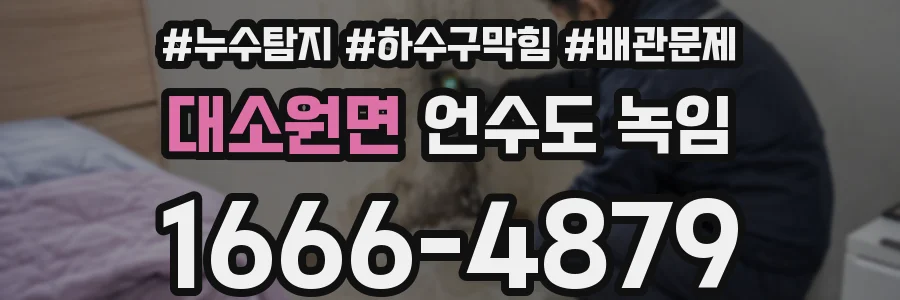 대소원면 언수도 녹임