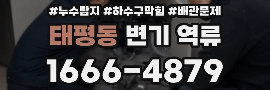태평동 변기 역류