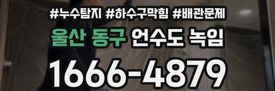 울산 동구 언수도 녹임