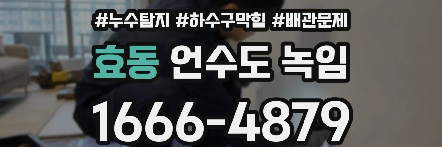 효동 언수도 녹임