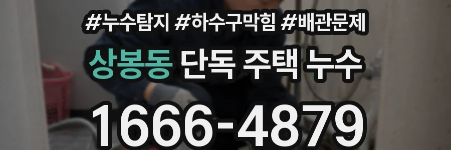 상봉동 단독 주택 누수