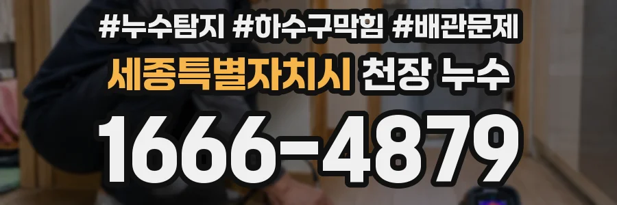 세종특별자치시 천장 누수