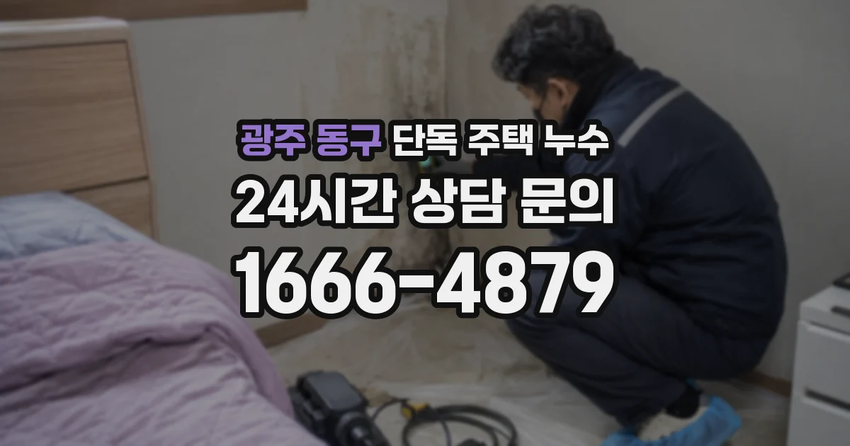 광주 동구 단독 주택 누수