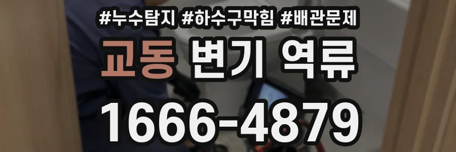 교동 변기 역류