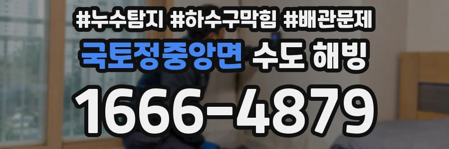 국토정중앙면 수도 해빙