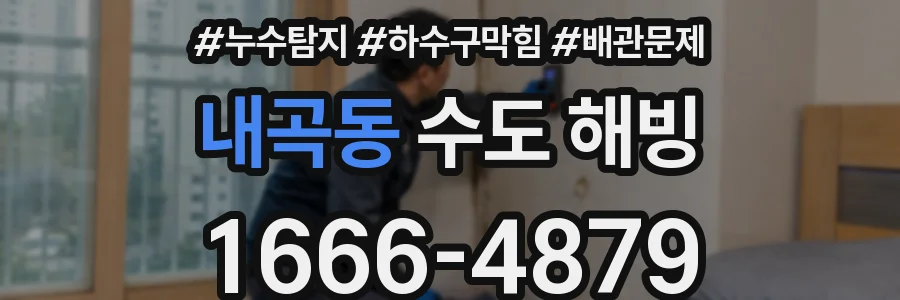 내곡동 수도 해빙